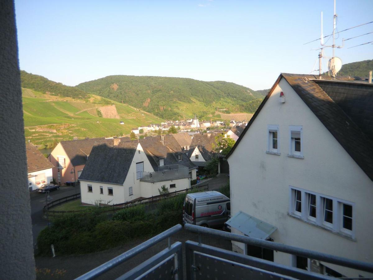 Ferienwohnung Bernkastel-Kues - Alte Rebschule Εξωτερικό φωτογραφία